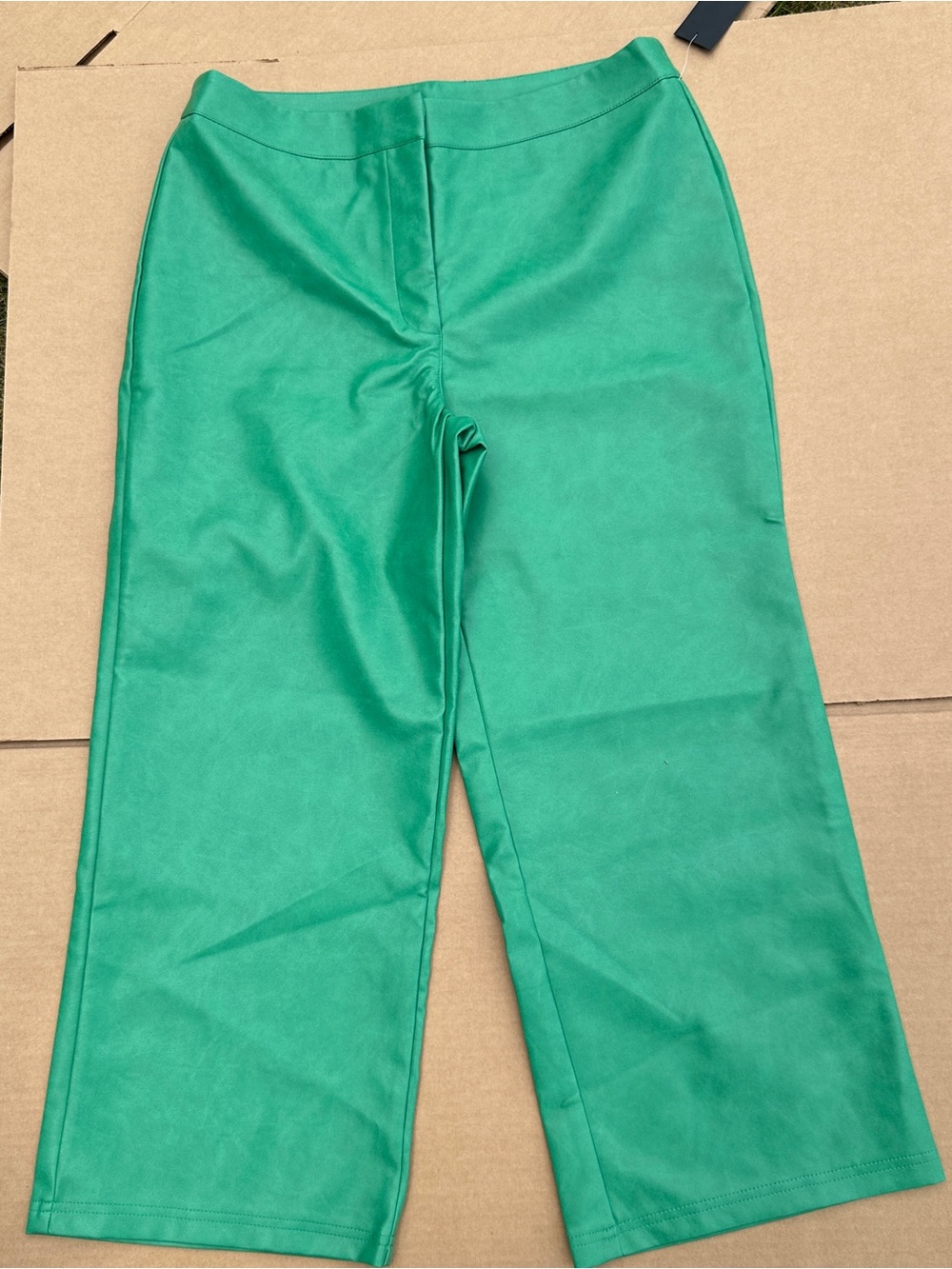 Bagatelle Green Faux Leather Pants